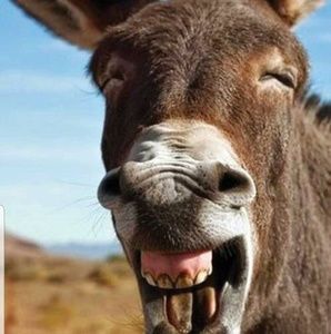 Meet your Posher, Gregory